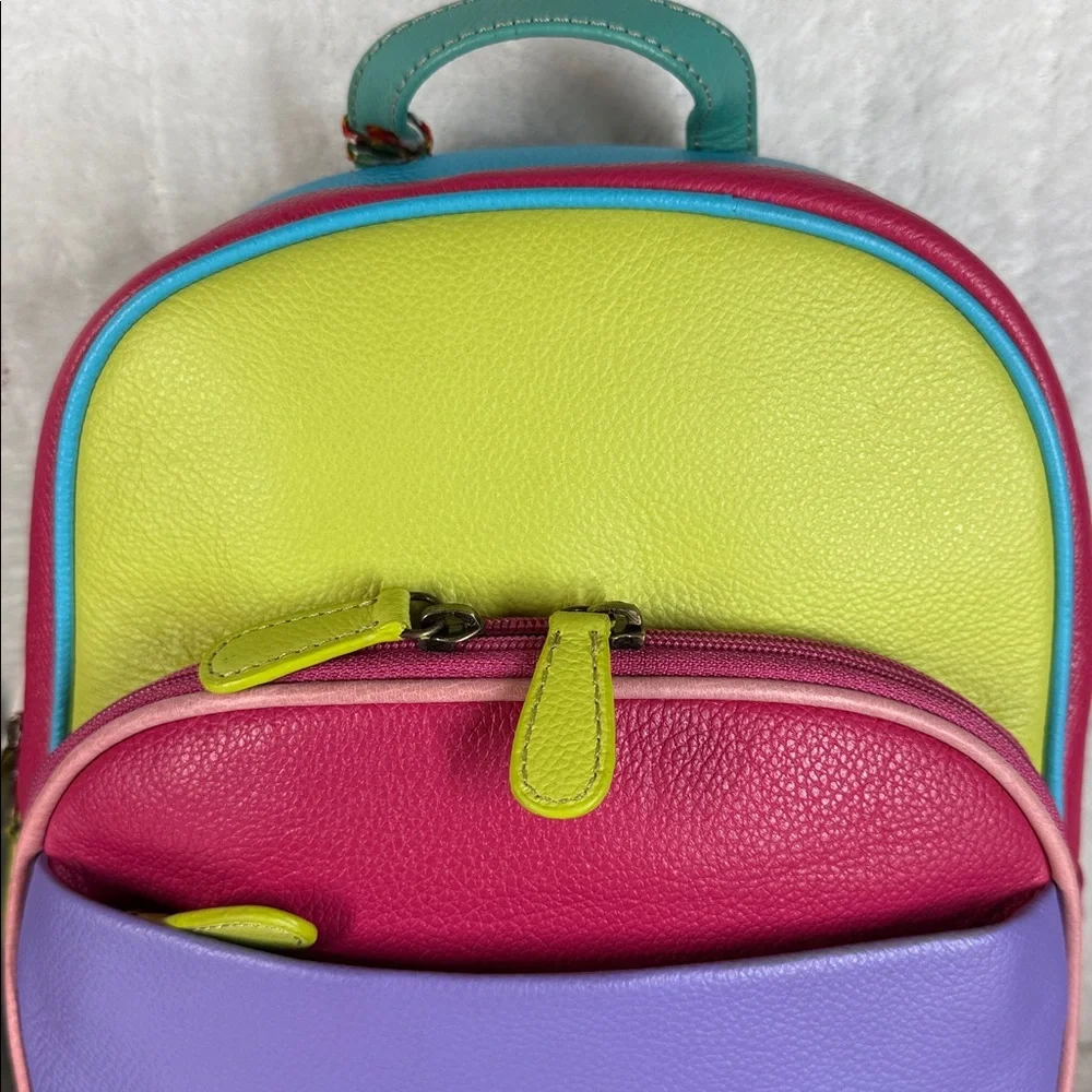 Myra Bag Leather Colorblock 